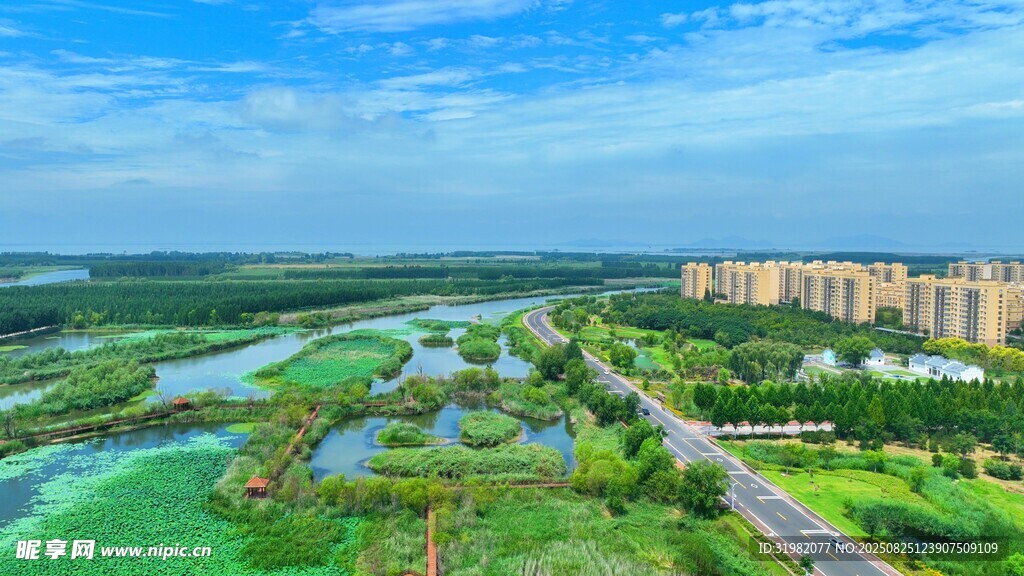 濱湖國家濕地公園