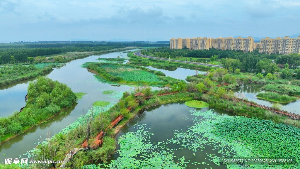 濱湖國家濕地公園