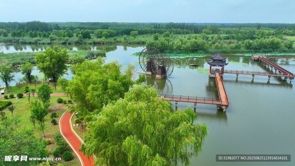濱湖國家濕地公園