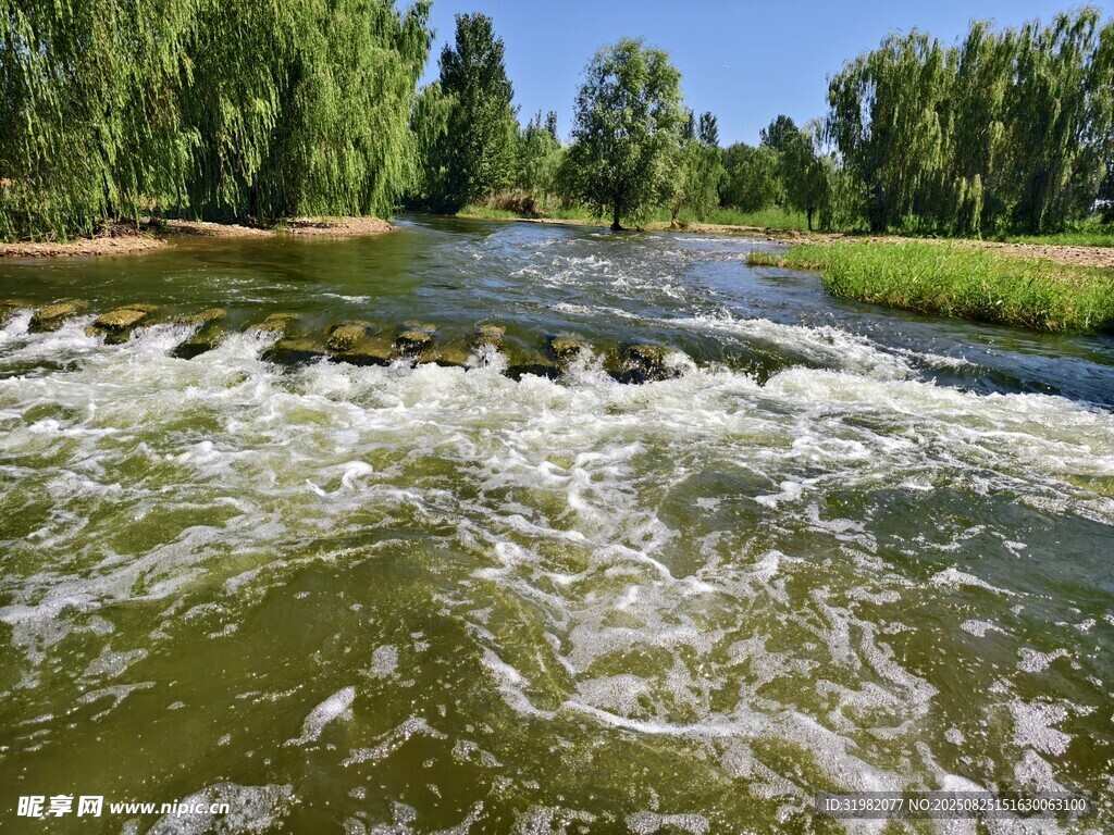 湍急溪流旁的蔥郁景致