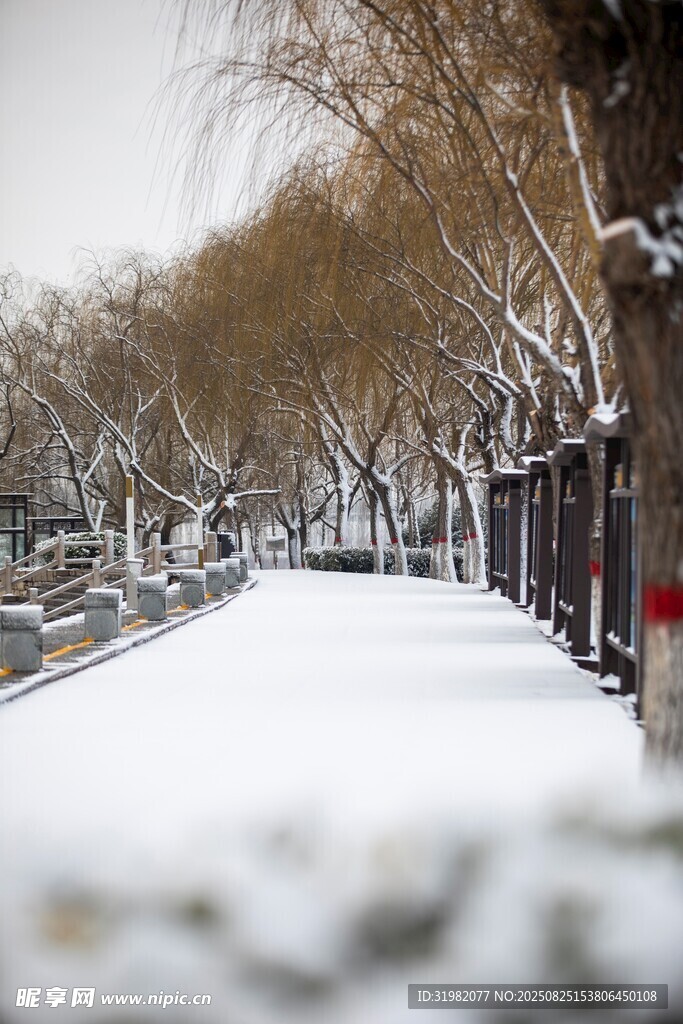 運(yùn)河之心戴村壩雪景