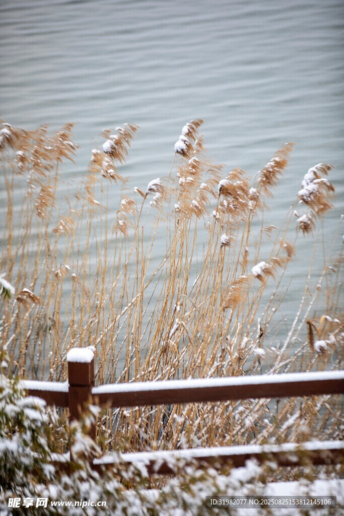 運河之心戴村壩雪景