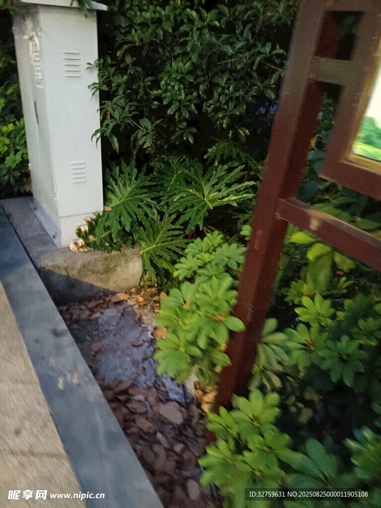 庭院綠植景觀一角