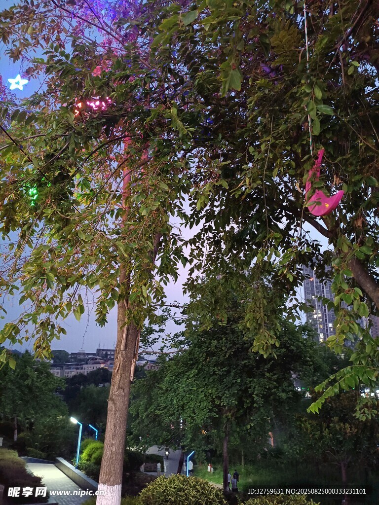 夜晚樹下多彩燈光景致