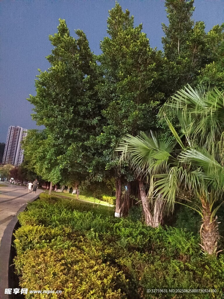 城市中的綠植景觀