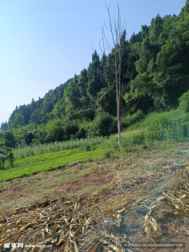鄉(xiāng)村田野風(fēng)光景色