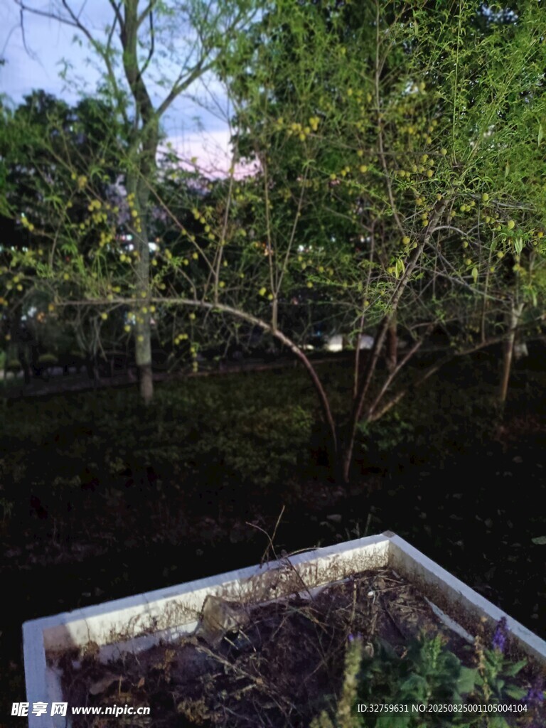 庭院綠植景觀一角