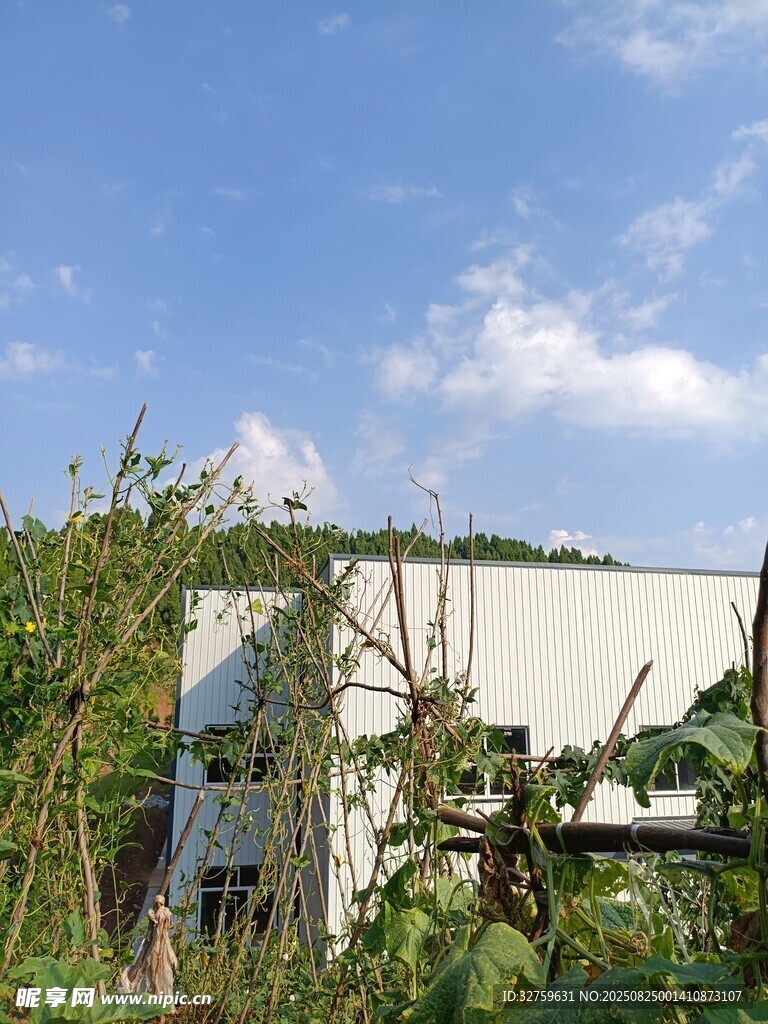綠植環(huán)繞的白色建筑
