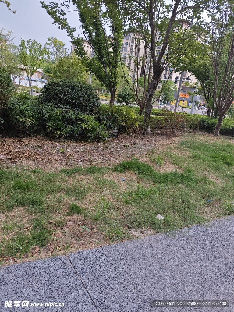 路邊綠意盎然的自然景致