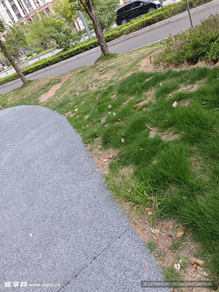城市中的草地與灰色步道