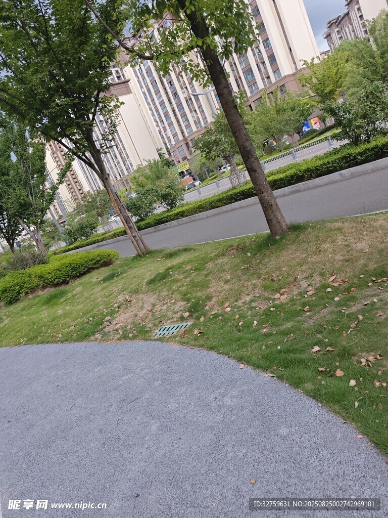 城市中靜謐的林蔭小道