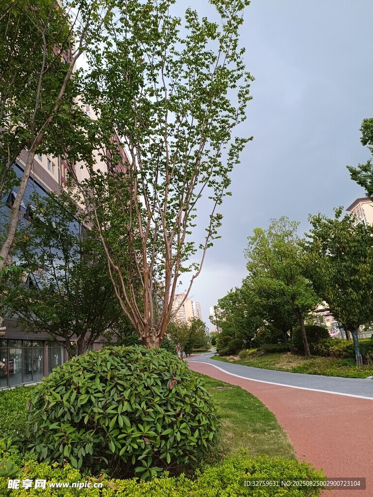 城市街邊綠意盎然景觀