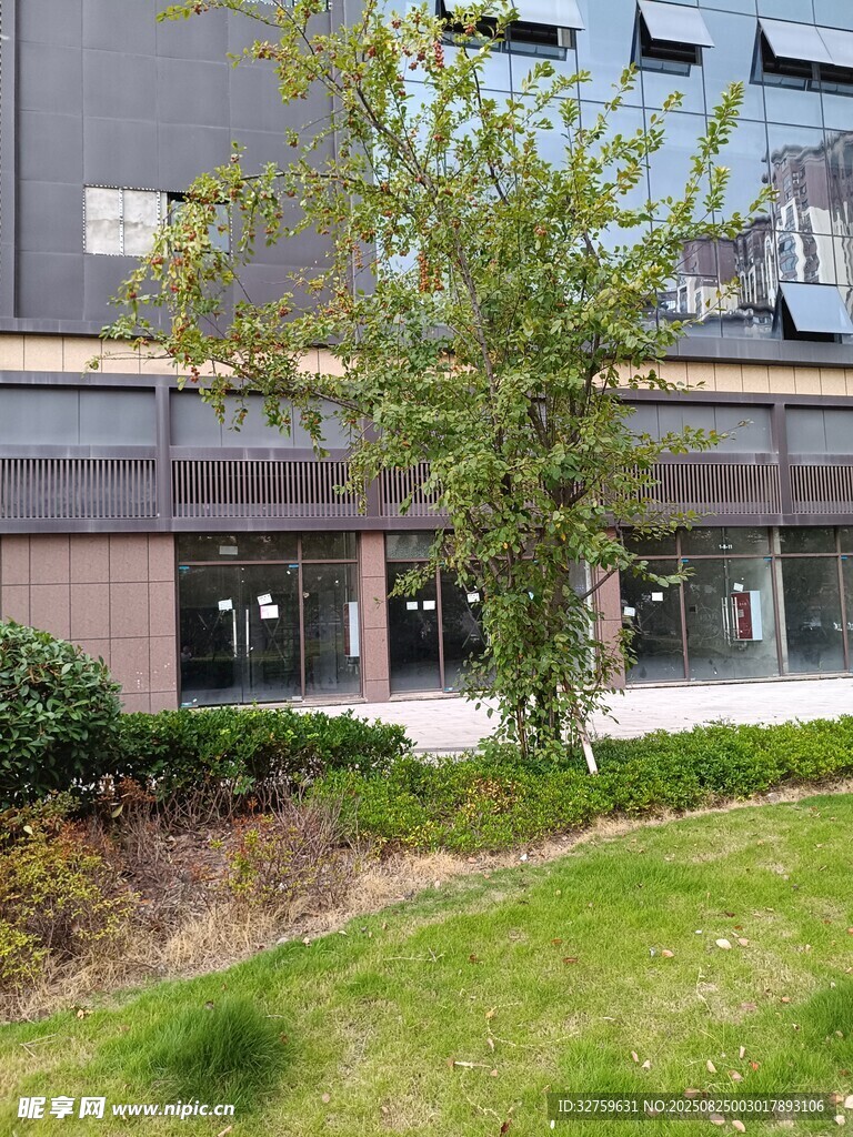 現(xiàn)代建筑旁的綠植景觀