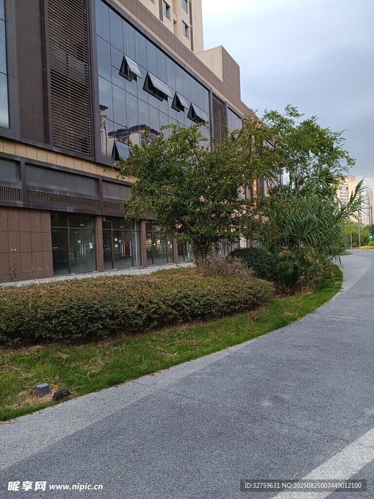 現代建筑旁的綠化道路
