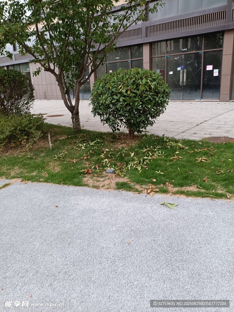戶(hù)外綠植與建筑旁道路