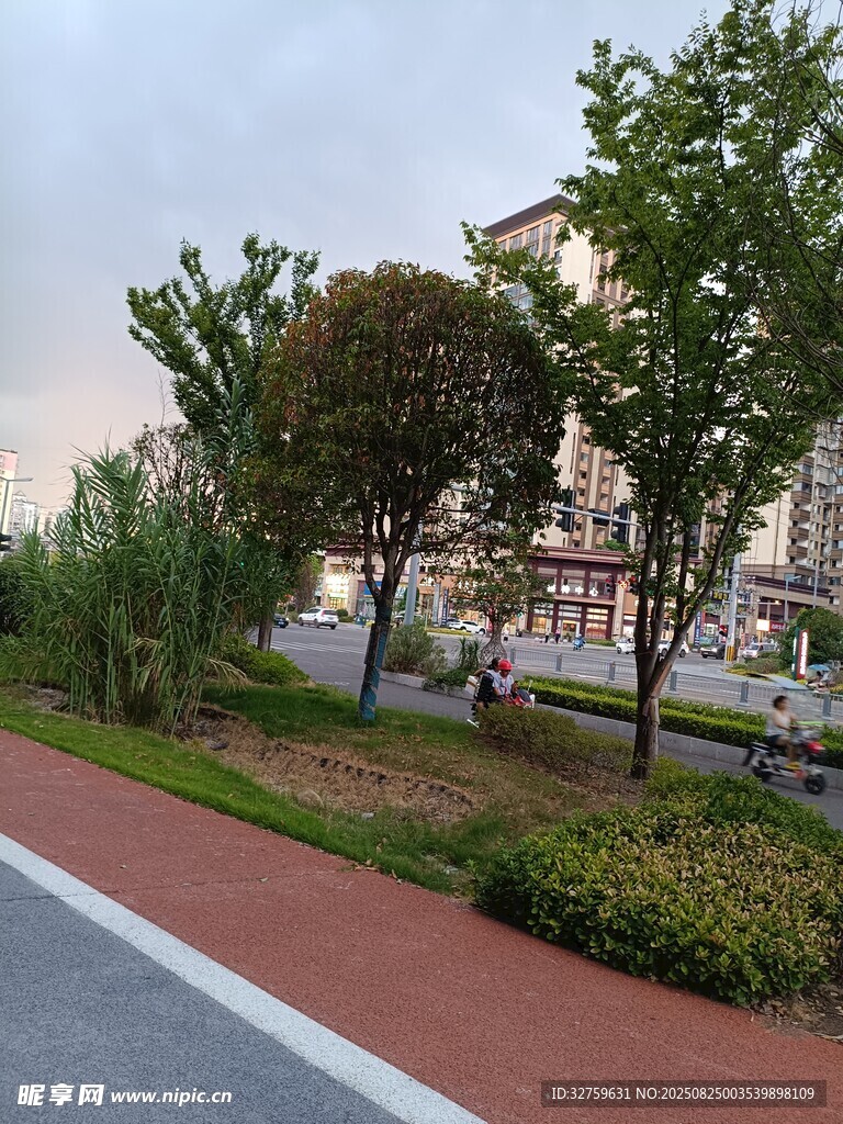 城市路邊的綠化景觀