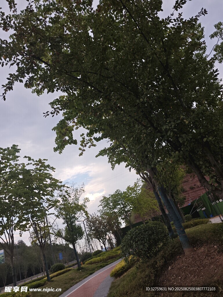 綠樹成蔭的寧靜小路