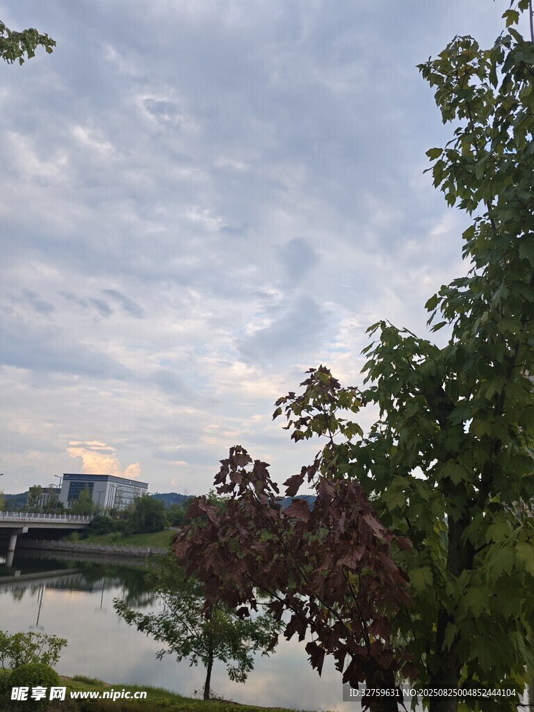 湖畔綠樹與遠處建筑風景