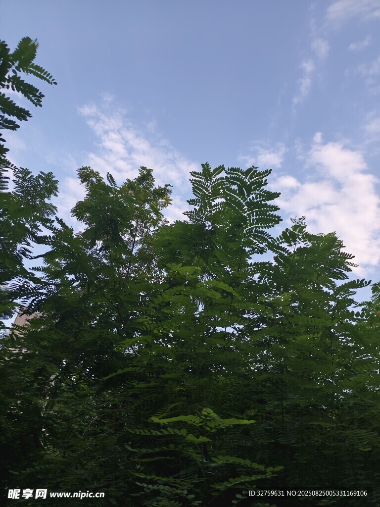 綠樹藍(lán)天間的自然景致