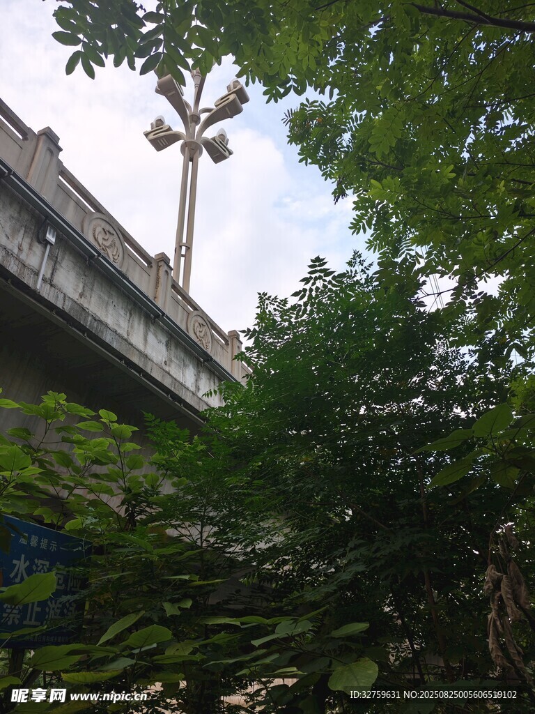 橋畔綠樹(shù)間的高聳塔架