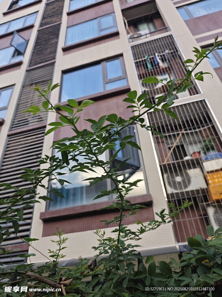 現(xiàn)代風(fēng)格住宅外觀一角