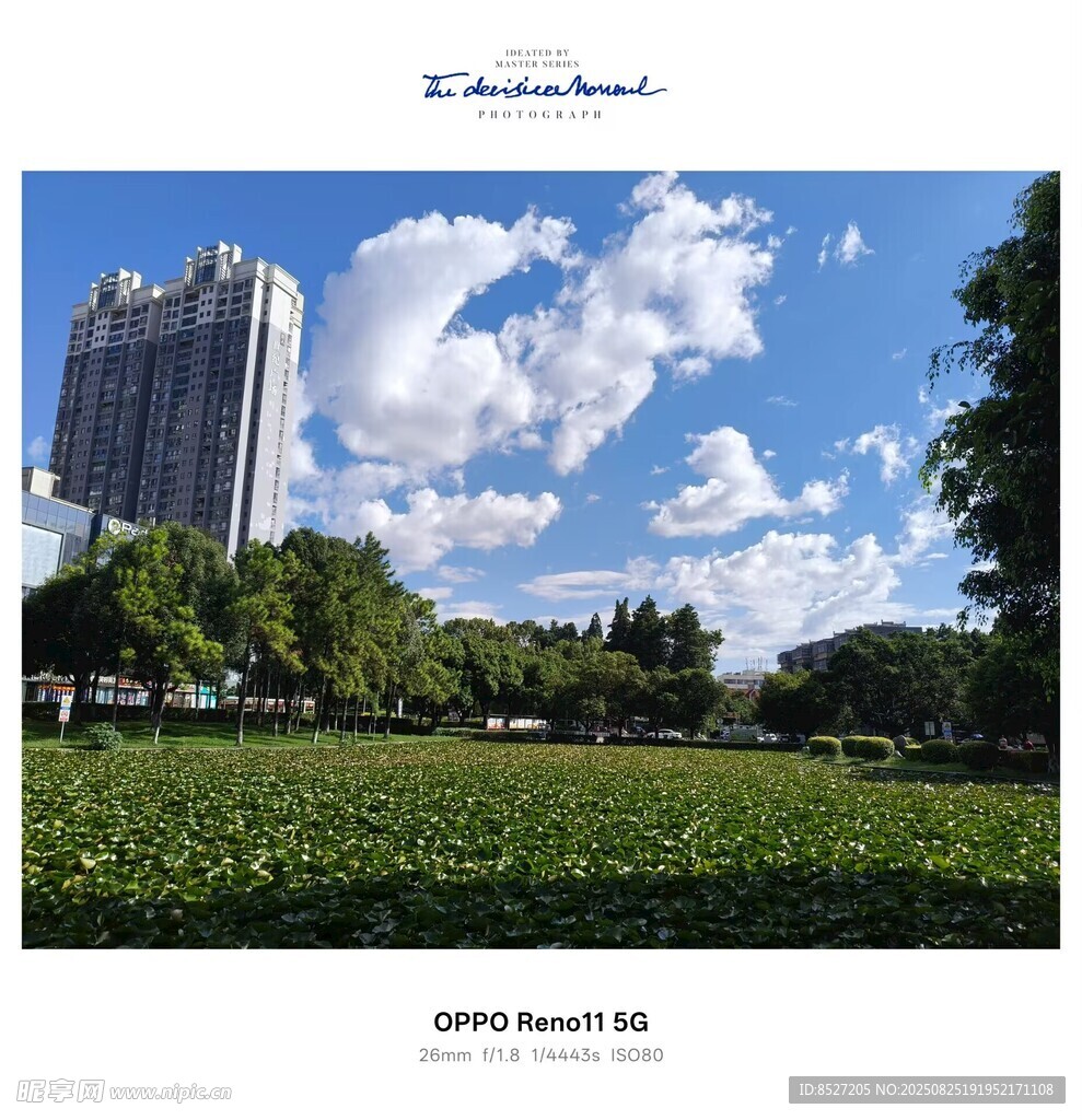 城市綠地與藍(lán)天白云景觀