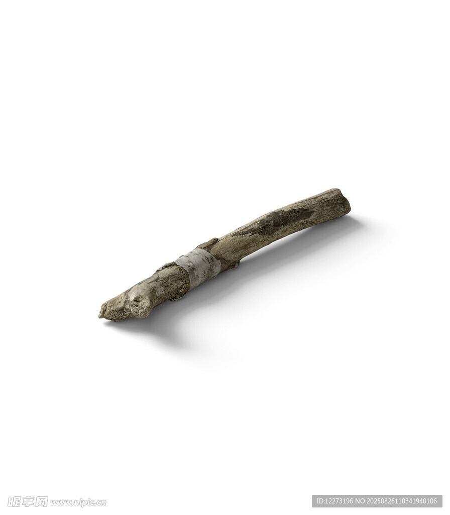 一根質(zhì)樸的自然樹(shù)枝