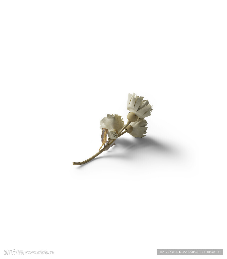 精致白色干花飾品