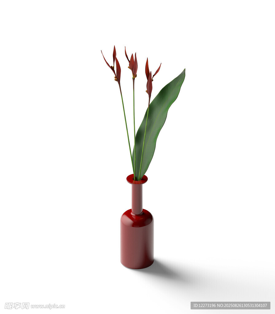 紅色花瓶中綻放的鶴望蘭
