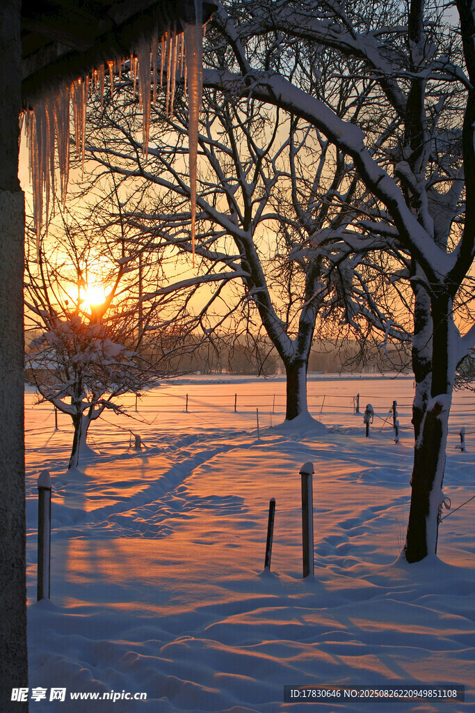 冬日雪景中的夕陽美景