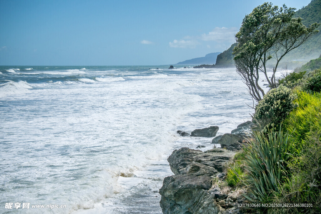 海岸邊的海浪與蔥郁植被