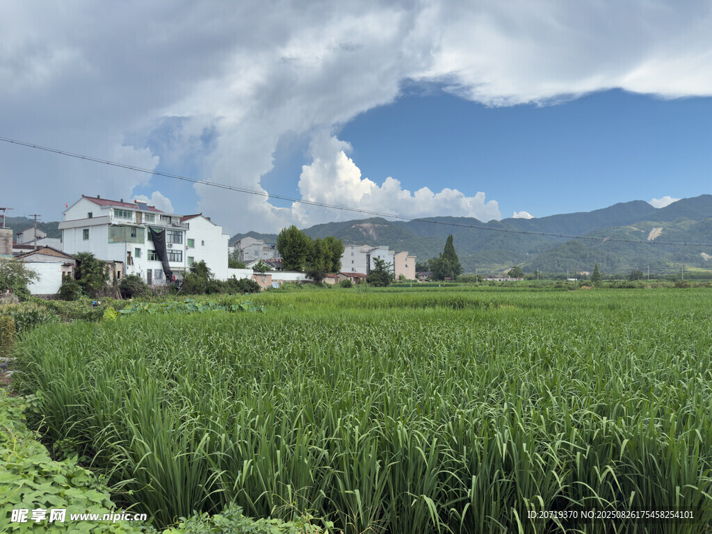 田園風(fēng)光中的村落與稻田
