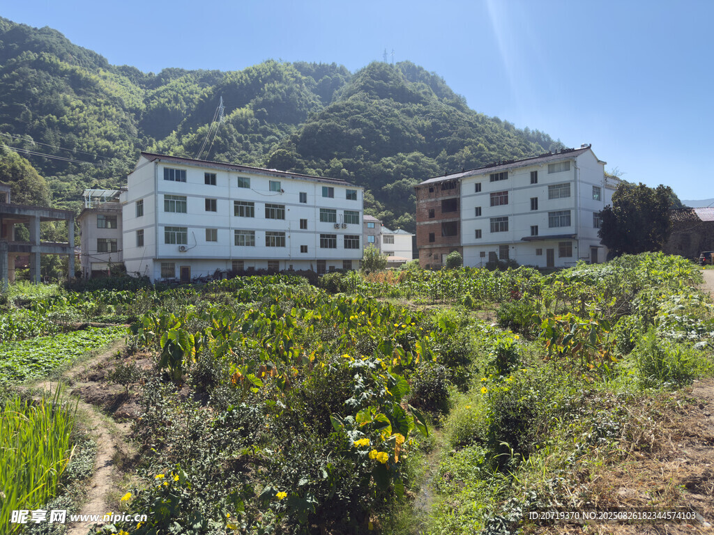 山間村落與農(nóng)田景象