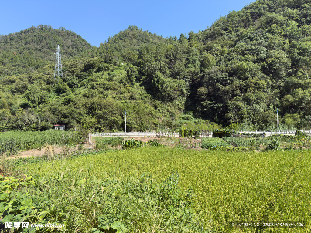 山間綠野田園風(fēng)光