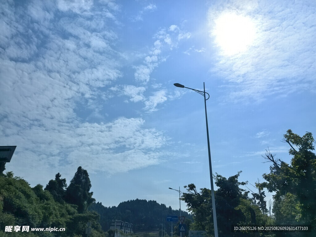 晴朗天空下的路燈與綠樹