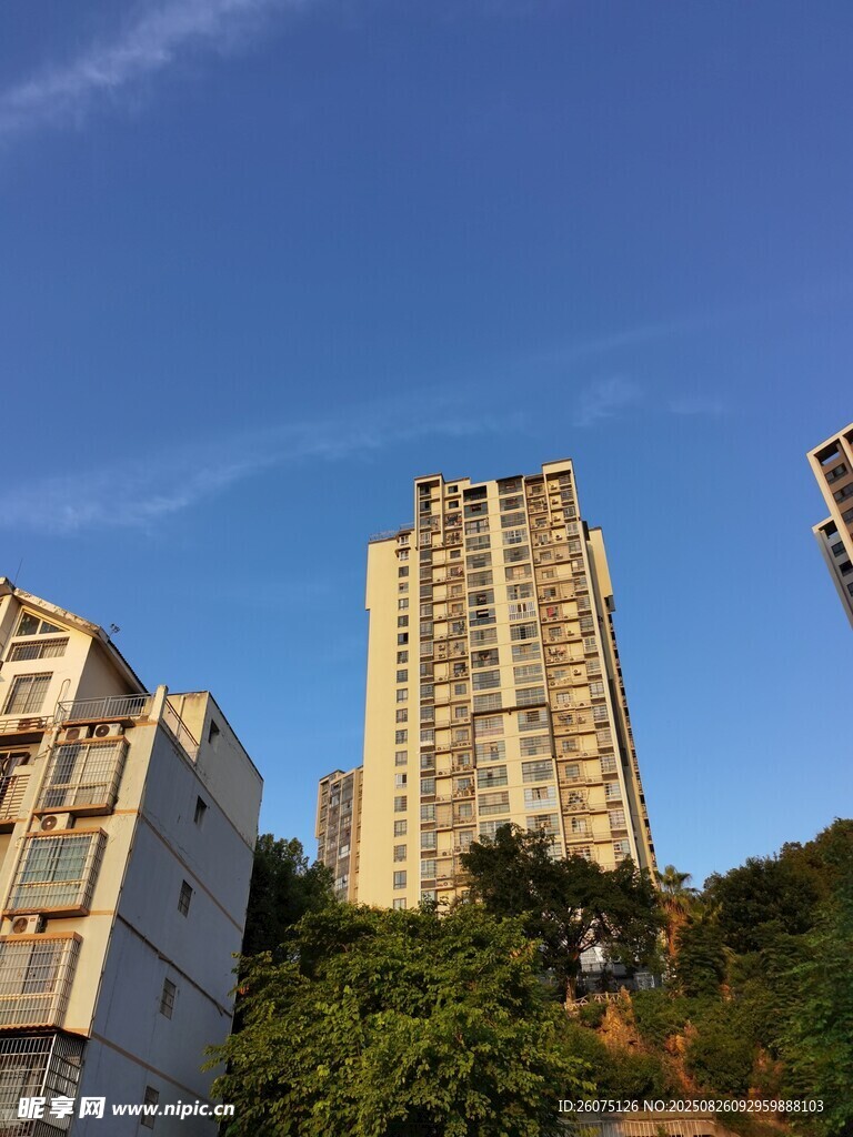 城市高樓與藍天綠樹景觀