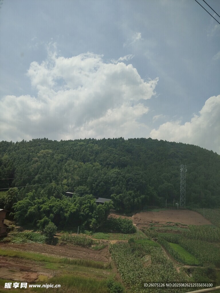 鄉(xiāng)村綠野風(fēng)光