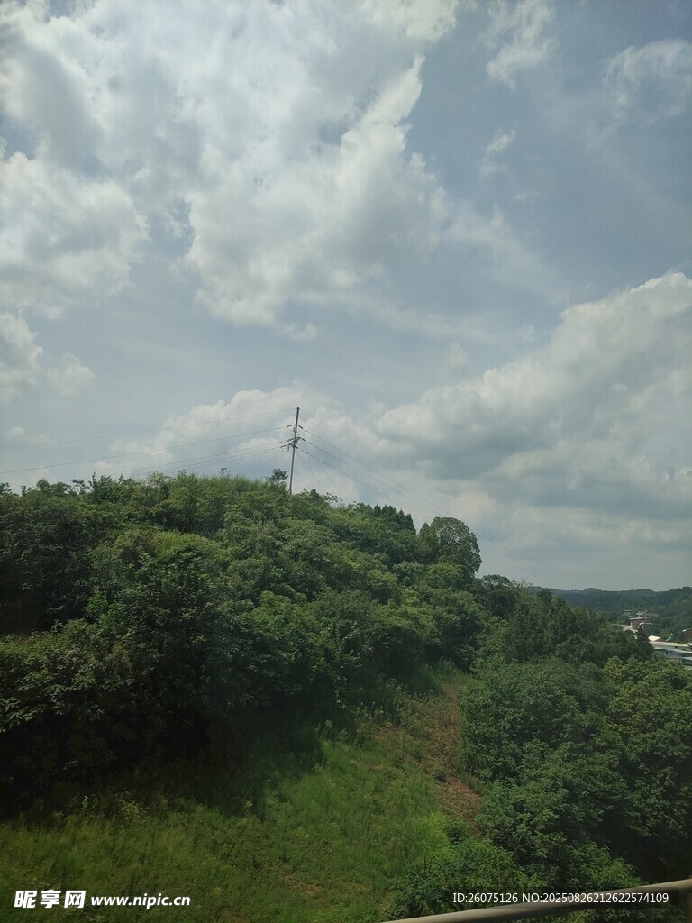綠意盎然的戶外風(fēng)景