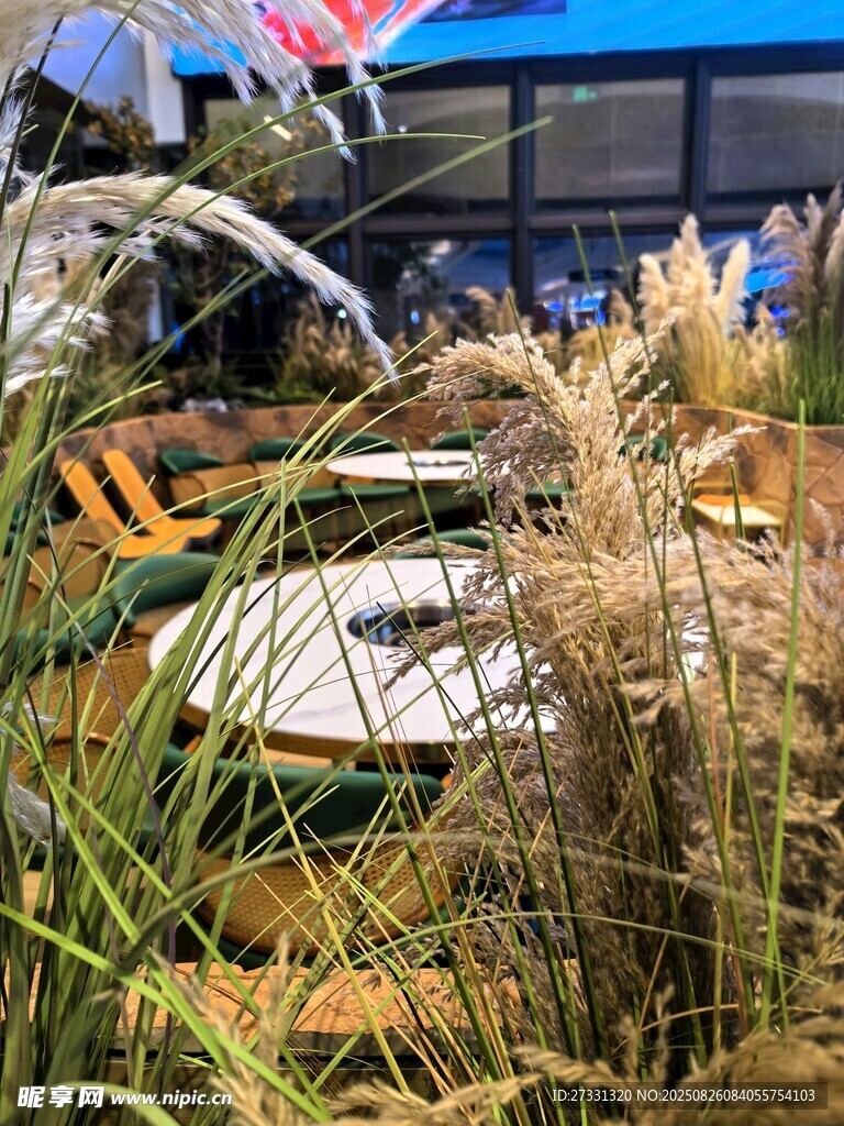 戶外庭院綠植景觀一角