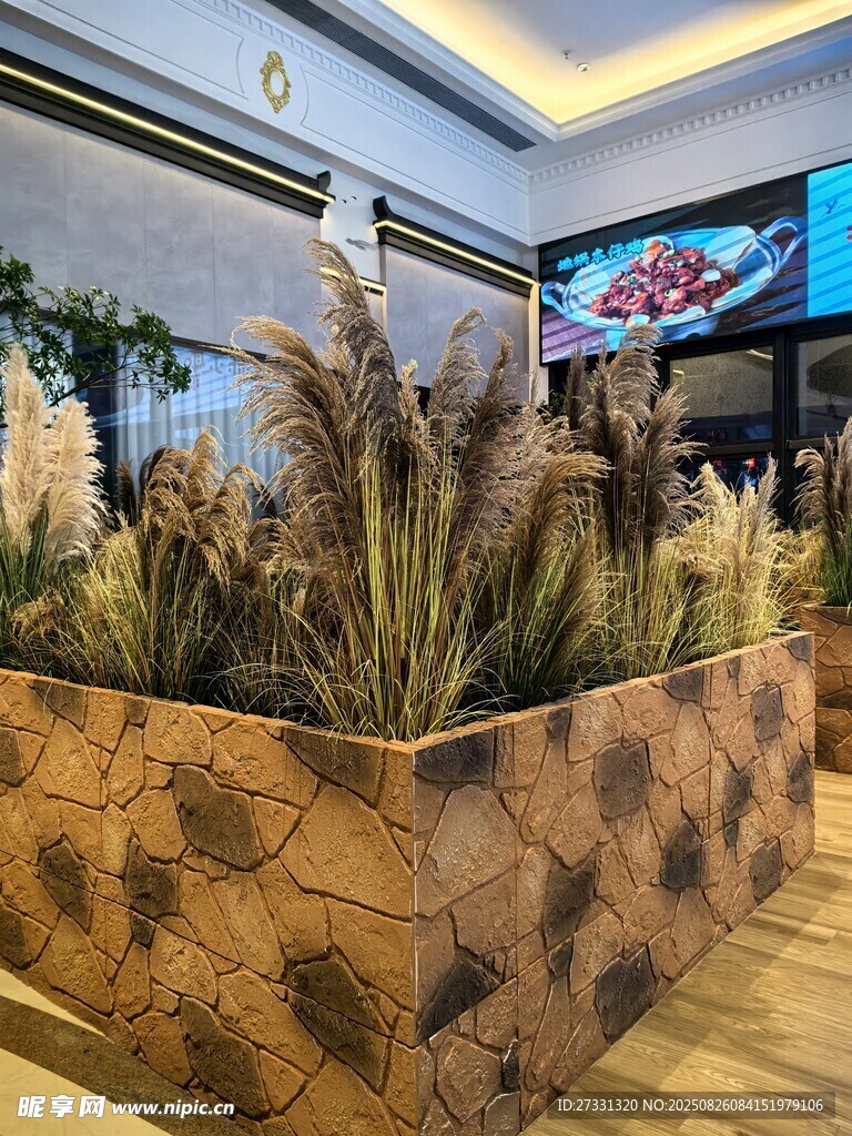 室內(nèi)創(chuàng)意木質植物花壇