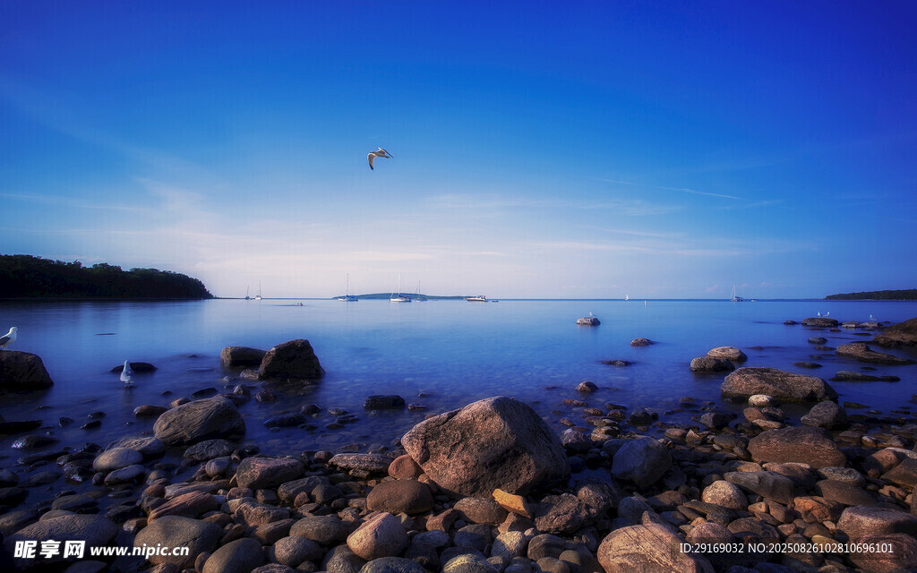 海邊黃昏 礁石與飛鳥景致
