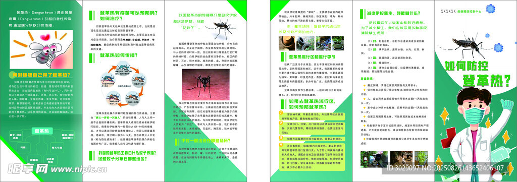 登革熱預(yù)防