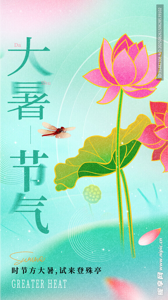 大暑節(jié)氣荷花綻放圖景