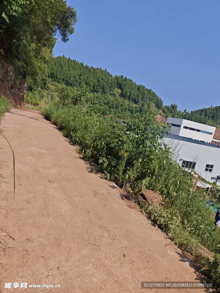 山間土路旁的綠植與建筑