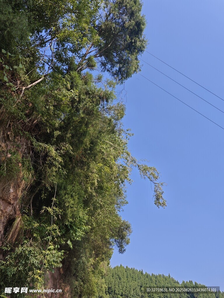 山林間的綠意與藍(lán)天景致