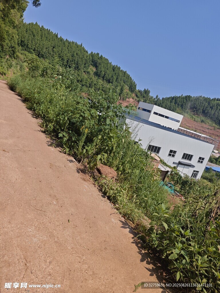 山間土路旁的白色建筑