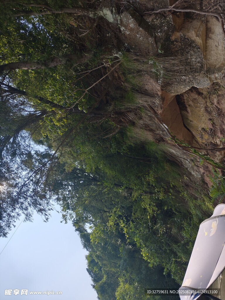 山間綠植覆蓋的峭壁