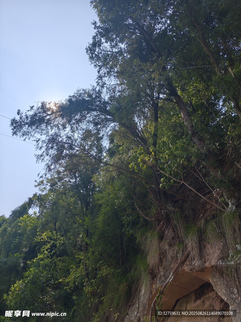 山林間的峭壁與繁茂樹木