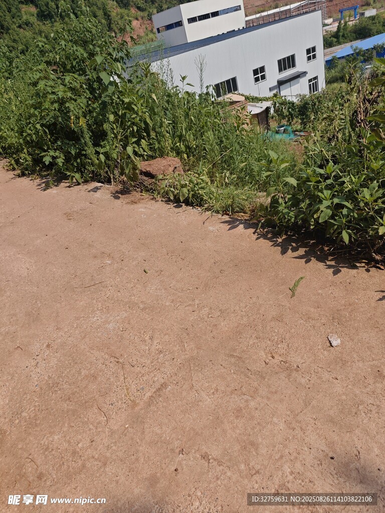 戶外泥土坡與綠植場景