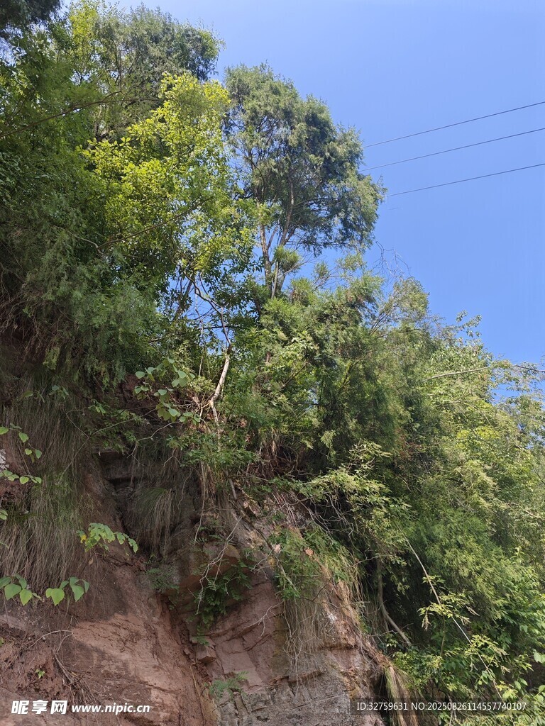 山坡綠植覆蓋的自然景象